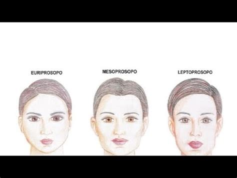 Dimensi N Vertical Y Biotipo Facial Youtube