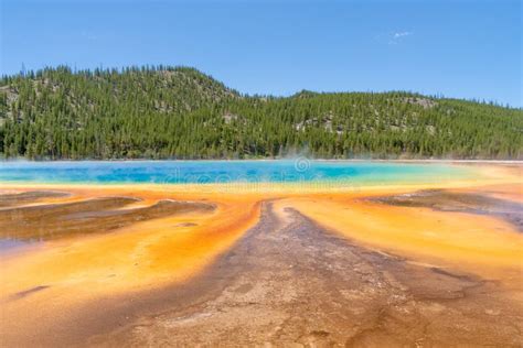 A Bright Orange And Aqua Colored Pool In A Forest Landscape Stock