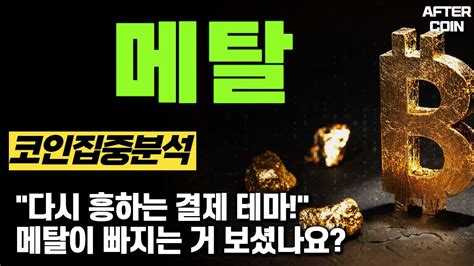 메탈 코인 다시 흥하는 결제 테마 메탈이 빠지는 거 보셨나요 메탈코인분석 메탈코인시세 메탈코인전망 메탈코인호재