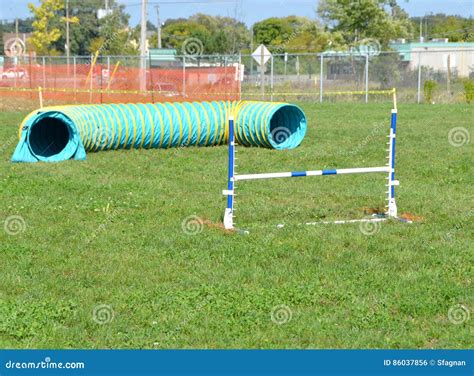 Dog obstacle course stock photo. Image of obstacle, parkour - 86037856