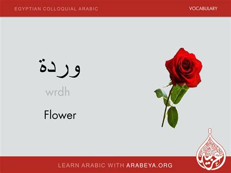 Flower Colloquial Words Vocabulary English Words