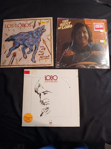 Vinyl Albums - LOBO - LOS LOBO - LP Records | EstateSales.org