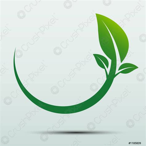 Green Leaf Logoecology Naturevector Illustration Stock Vector 1185839 Crushpixel