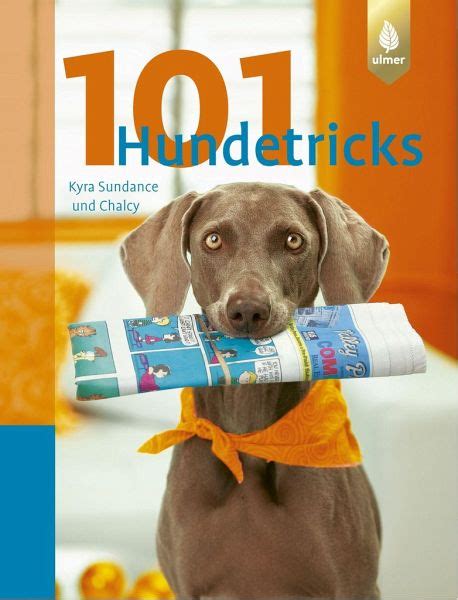 Hundetricks Von Kyra Sundance Chalcy Sundance Bei B Cher De Bestellen