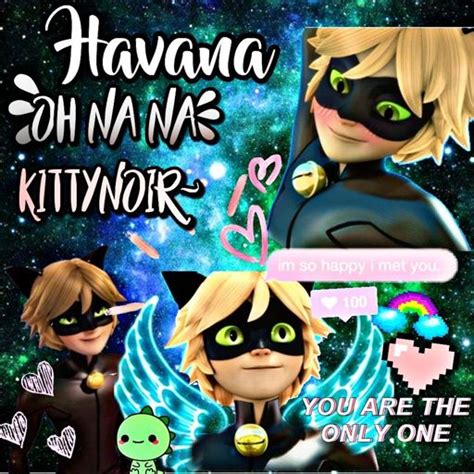 Chat Noir Edit Miraculous Amino