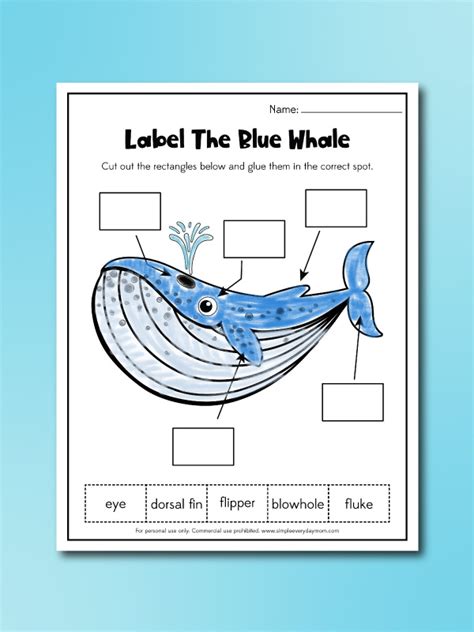 Whale Worksheets For Kids Free Printables