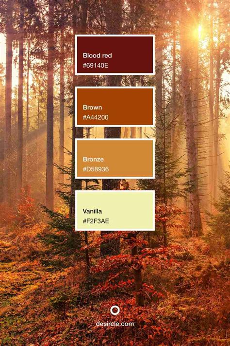 10+ best forest color palette ideas (with HEX codes) - Desircle