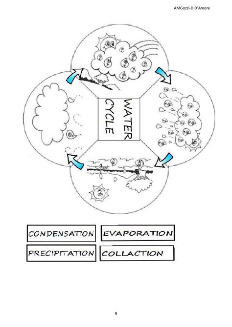 Lapbook Water Cycle Primaria Casteldario Water Cycle Lapbook Math