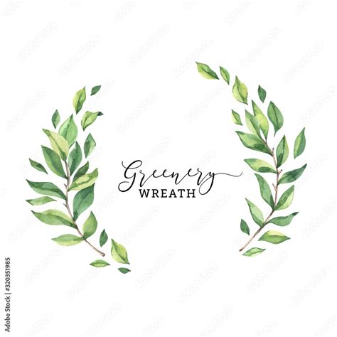 Watercolor Botanical Illustration Greenery Laurel Wreath Clipart Hot Sex Picture