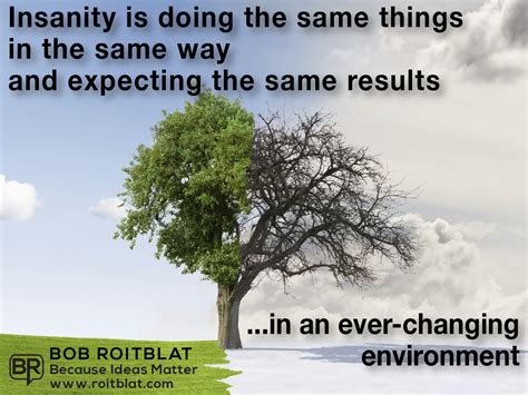 insanity  bob roitblat entrepreneur author coach
