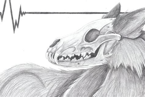 Wolf Skeleton Drawing at PaintingValley.com | Explore collection of ...