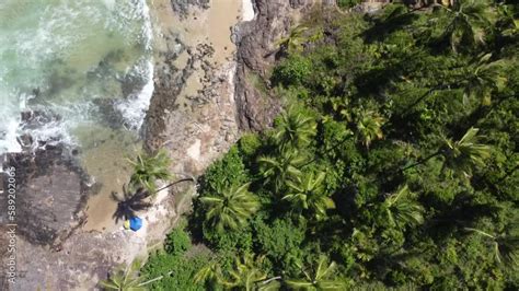 Praia Litoral Palmeiras Coqueiro Paisagem Itacaré Bahia Nordeste