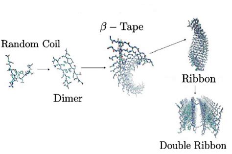 Hierarchical Structures Of Self Assembly Download Scientific Diagram