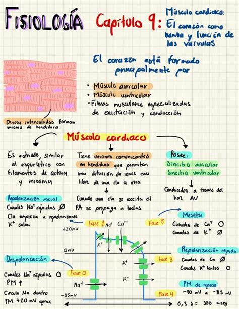 Capítulo Fisiología Guyton 9 Juan Jose uDocz