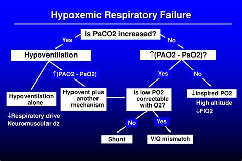 Ppt Acute Respiratory Failure Powerpoint Presentation Free Download