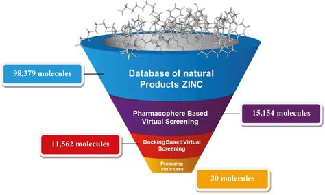 Hit Identification Creative Biostucture Drug Discovery