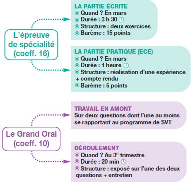 Bac SVT Tle générale En quoi consistent l épreuve de spécialité et le