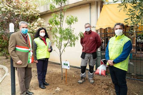 Progetto Linea Green Al Via Liniziativa Del Lions Club Riva Stefano