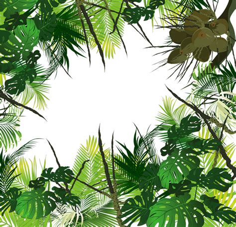 Rainforest Png Images Free Png Library Images And Photos Finder