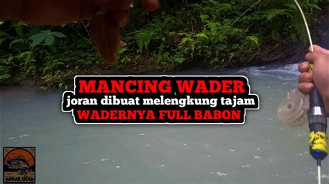 Mancing Wader Mancing Sehabis Hujan Tarikan Indukan Wader Mantap