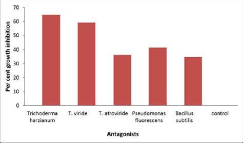 Effect Of Antagonist On Mycelial Growth Of R Solani Download