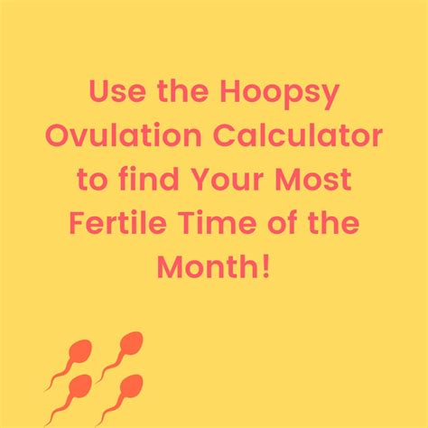 Ovulation Calculator - Hoopsy