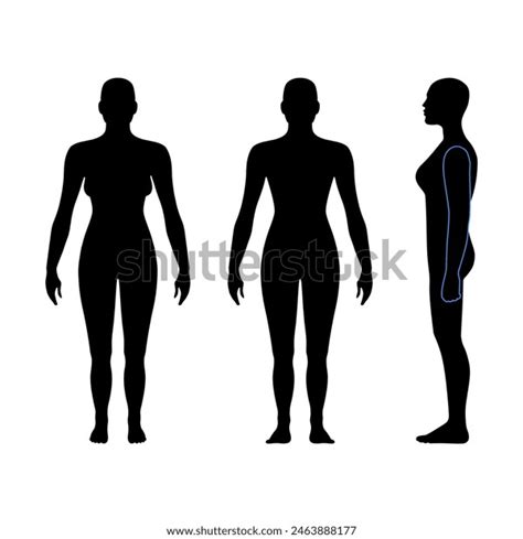 13 452 Mensch Silhouette Nackt Images Stock Photos 3D Objects