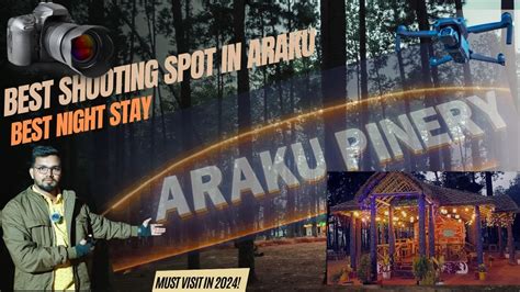 Araku Pinery సనమ షటగస జరగ పరదశ Best camping in araku with