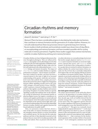 Gerstner And Yin Nature Rev Neurosci 2010 PDF