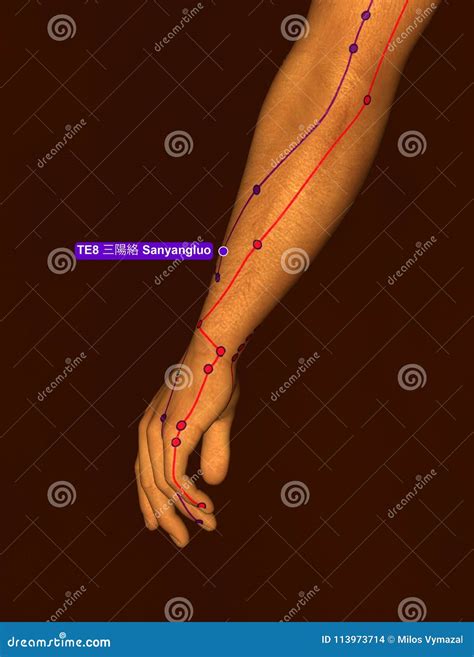 Acupuncture Point TE8 Sanyangluo 3D Illustration Brown Background