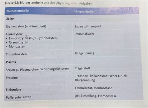 Blut Karteikarten Quizlet