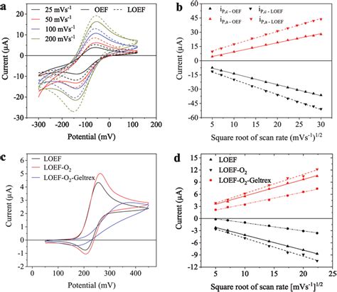 A Characteristic Cyclic Voltammograms Of 1 × 10 −3 M Runh 3 6 2