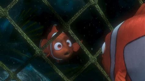 Finding Nemo - Finding Nemo Image (3569715) - Fanpop