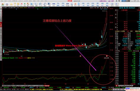 同花顺【强势粘合必涨】幅图公式 牛股都逃不掉 抓涨神器 源码文件分享 同花顺公式 公式网