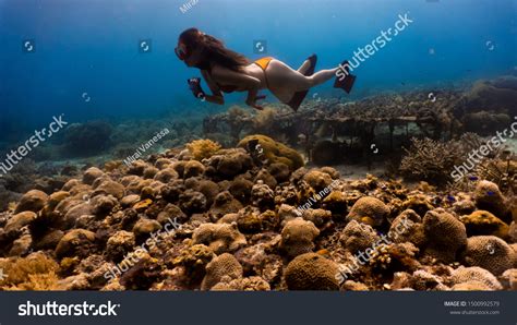 Sexy Girl Wearing Bikini Freediving Down Stock Fotografie Shutterstock