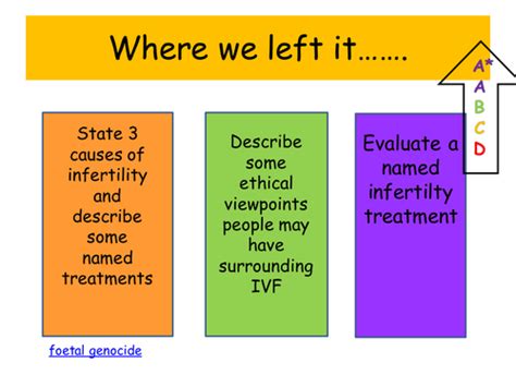 B3 Topic 1 Edexcel Sex Determination Teaching Resources