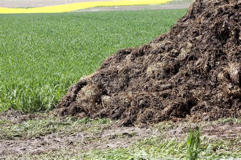 manure for fertilizer 9550159 Stock Photo at Vecteezy