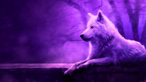 Aesthetic Wolf Laptop Wallpaper