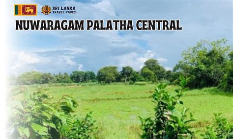 Nuwaragam Palatha Central - Top Rated Tourist Attraction Places in Sri ...