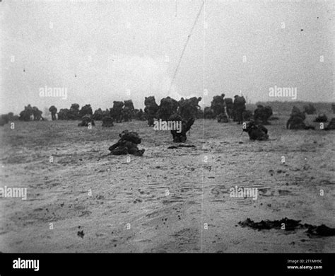 D Day British Forces During The Invasion Of Normandy June Film