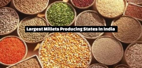 Top 5 Largest Millets Producing States In India 2024 Perunity