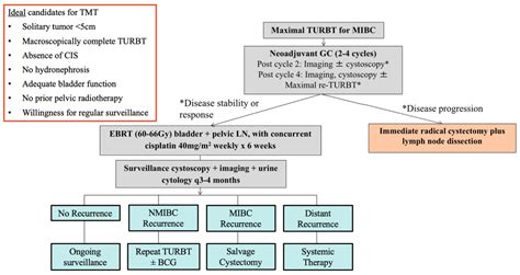 Trimodality Therapy for Muscle-Invasive Bladder Cancer: Recent Advances ...