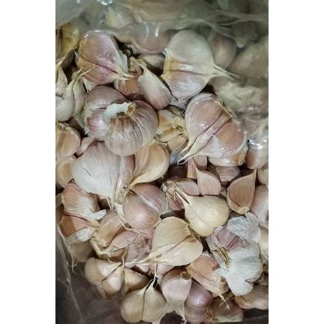 Jual Bawang Putih Kating Bersih Kg Shopee Indonesia