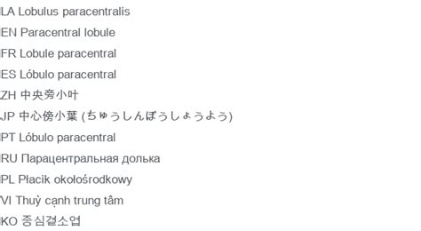 Paracentral lobule - e-Anatomy - IMAIOS