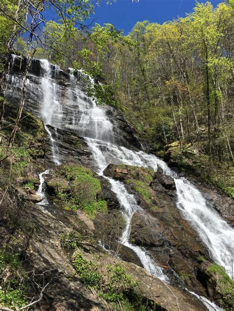 Amicalola Falls State Park | Amicalola falls, State parks, Outdoor