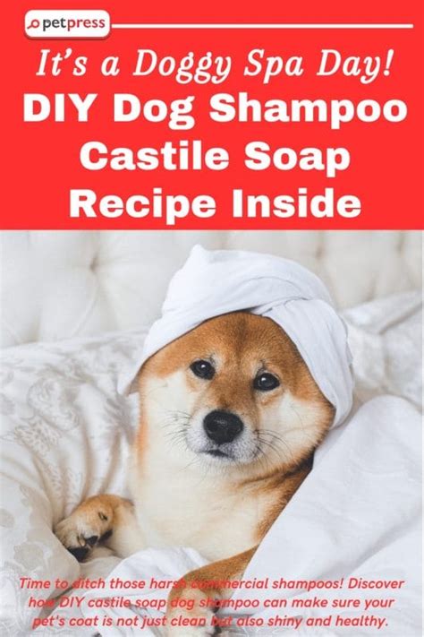 Doggy Spa Day: DIY Dog Shampoo Castile Soap Recipe Inside - PetPress