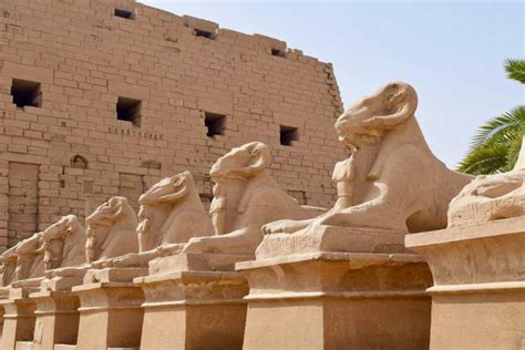 Days Cairo And Nile Cruise Tour Package Egypt Tour Packages Egypt