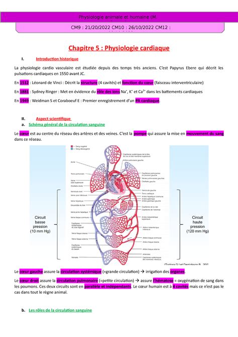 Cours 5 Physiologie Cardiaque Chapitre 5 Physiologie Cardiaque I