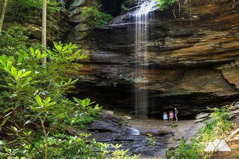 Moore Cove Falls Asheville Trails