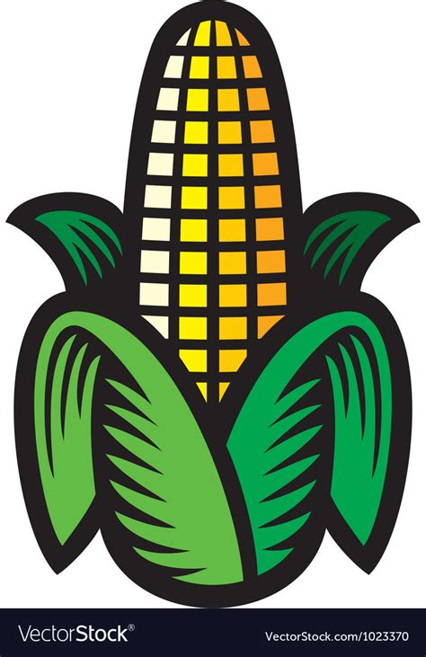 Corn Royalty Free Vector Image - VectorStock